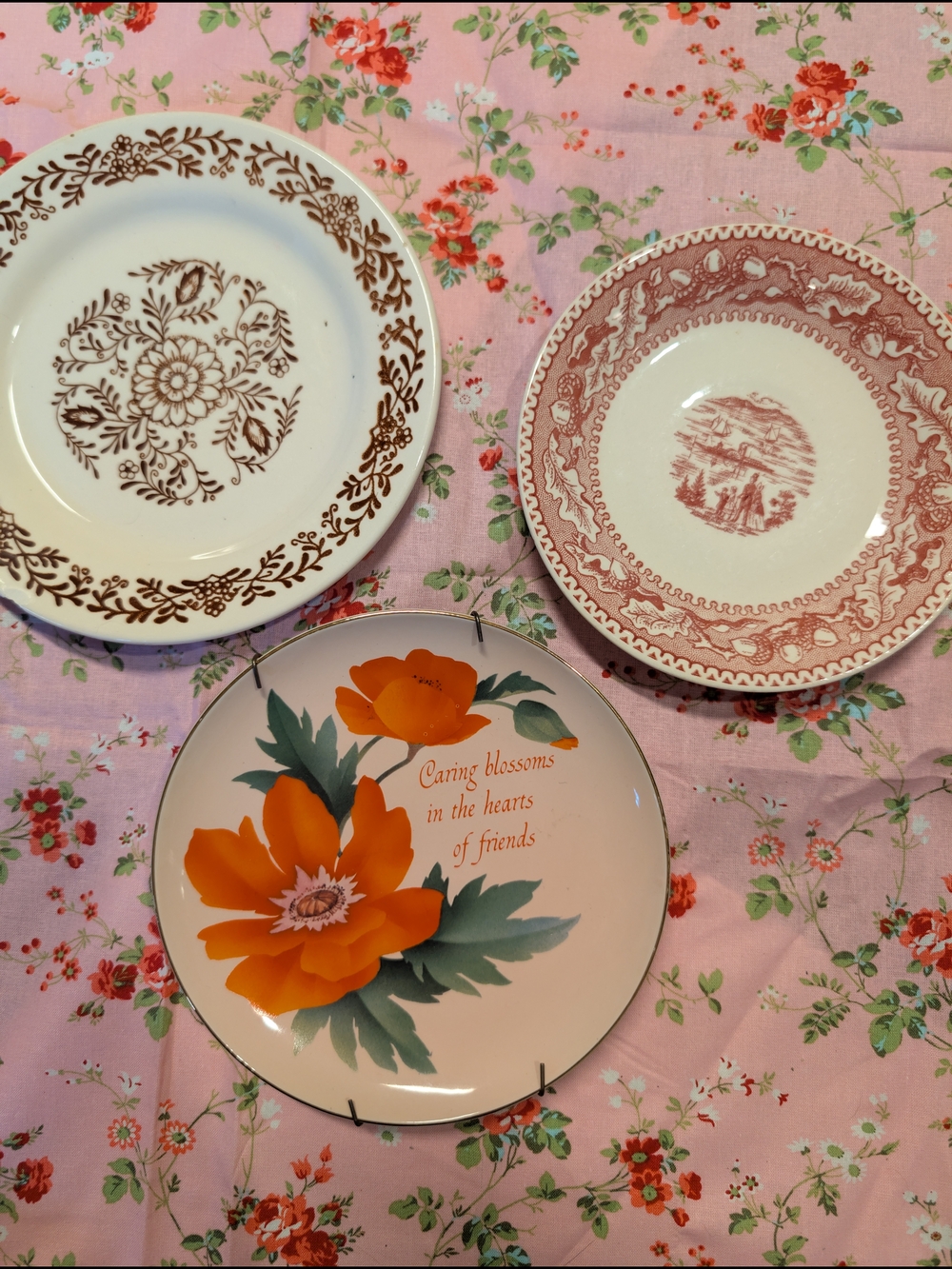 Vintage Wall Plate Collection Salad Plate